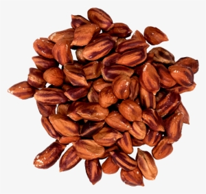 Jungle Peanuts 1 - Seed