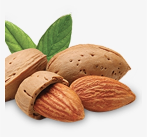 Almonds