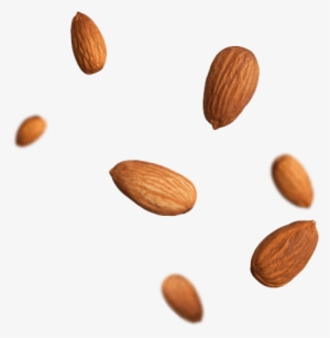 Featured Recipe - Almond