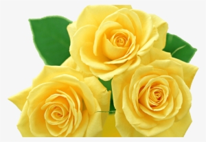 Yellow Rose Clip Art Yellow Roses Png By Melissa Tm - Yellow Rose Flower Png