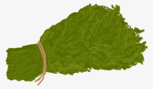 Herbs - Wiki