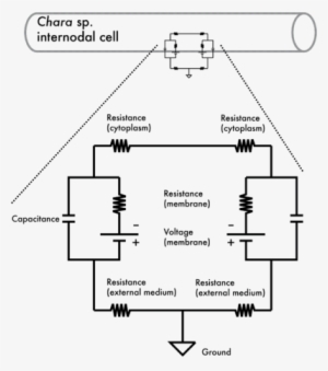 01 Figure - Portable Network Graphics