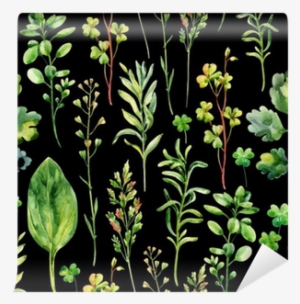 Watercolor Meadow Weeds And Herbs Seamless Pattern - Vinyl Wall Mural
