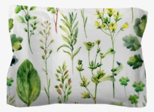 Watercolor Meadow Weeds And Herbs Seamless Pattern - Watercolor Painting