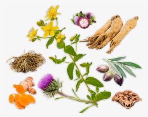 Better Health Through Natural Healing: How To Get Well