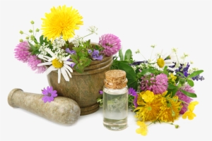 Enhance Your Relationship With The Natural World - Practical Herbal Medicine Handbook: Your Quick Reference