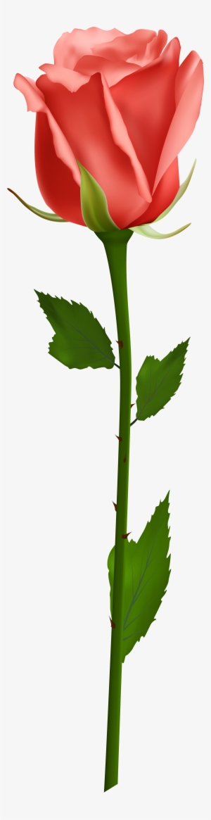 Orange Rose Png Download - Single White Rose Png