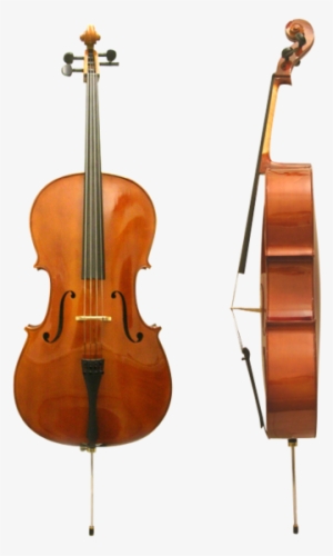 Cello Front Side - Different Kinds Of Instrument