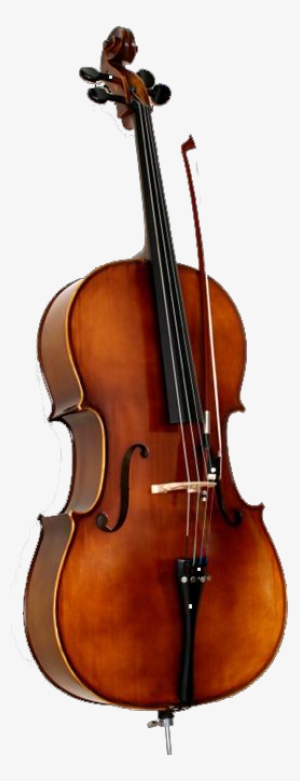 Cello - Example Of Chordophones