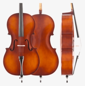Amati's Student Cello Outfit - Amahi Amati's Student Cello Outfit #80