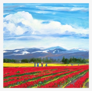 Slideshow Landscapes Pnw Skagit Tulip Field1 - Washington