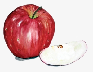 Apple 11 - Massachusetts