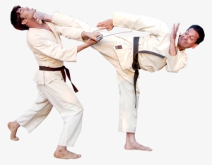 Read More - Ashihara Karate