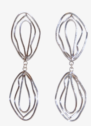 Reflected Silver Venus