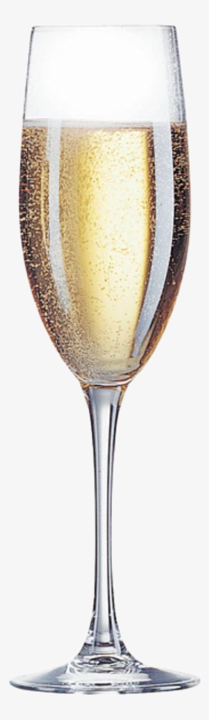 Champagne With Fine Bubbles - Champagne Flute Cabernet Glass - 8 Oz.
