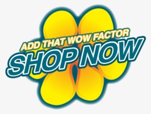 Shop Now - Portable Network Graphics