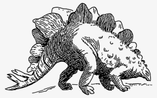 Dinosaur - Stegosaurus - Stegosaurus Clip Art Black And White