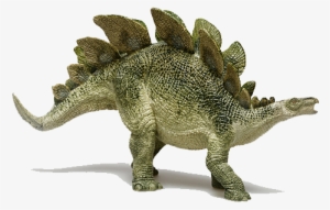 Stegosaurus - Dinosaur From Jurassic Period