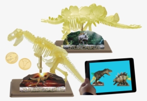 Ar Dinosaur Skeleton Museum - イーストコライト Ec28208 組み立て ステゴサウルス スケルトン 蓄光