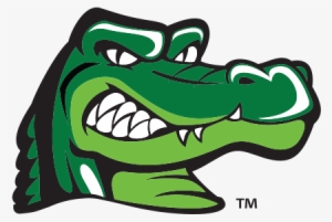 Bullpen Marketing Brings Uhd's Ed U Gator To Life - U Of H Downtown Mascot