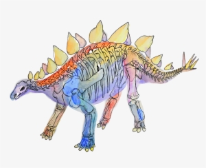 X-ray Dinosaurs And Other Prehistoric Creatures - Lesothosaurus