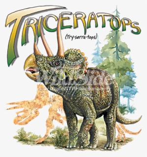 Triceratops - Dinosaur