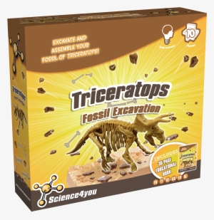 Fossil Excavation Triceratops