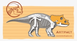 Baby Triceratops Bone Map, Highlighting Cranium, By - Styracosaurus