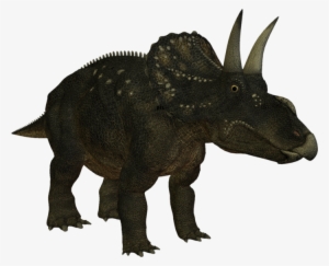 Dinosaur