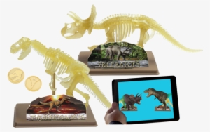 Ar Dinosaur Skeleton Museum - イーストコライト Ec28209 組み立て トリケラトプス スケルトン 蓄光