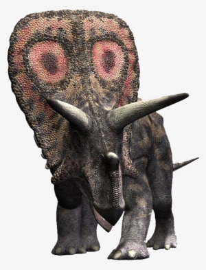 Torosaurus Was Smaller Than Triceratops, Even Though - Dinosaur Torosaurus