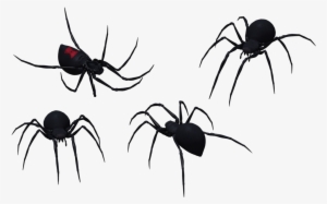 Black Widow Spider Png Graphic Royalty Free Stock - Black Widow Spider Vector