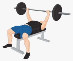 Exercise Png Clipart - Bench Press Transparent