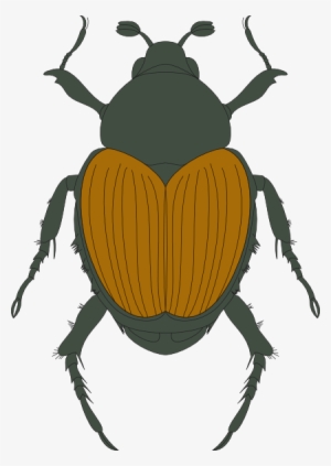 How To Set Use Green And Brown Beetle Icon Png