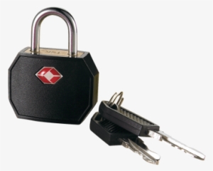 Travel Sentry® Padlock - Conair Tsr01ts Brass Padlock In Assorted Colors