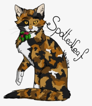 Png Warriors Drawing Spottedleaf - Warrior Cats Spottedleaf
