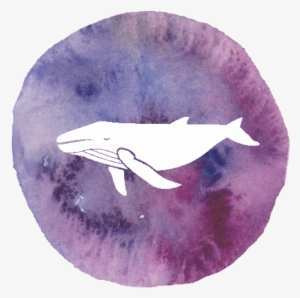 I Have A Phobia Of Big Things - Humpback Whale