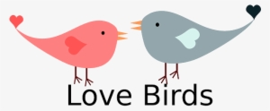 Heart, Love, Birds, Bird, Hearts, Valentine, February - Love Birds Valentines