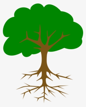 28 Collection Of Big Tree Clipart Png - Big Tree Clip Art