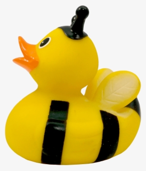 Rubber Duck