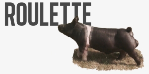 Roulette - Son Feci Bisiklet