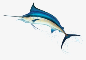 Swordfish Png Clip Art - Billfish Clip Art