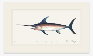 Swordfish - Art