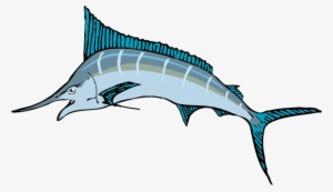 Clipart Royalty Free Sailfish Vector Blue Marlin - Sailfish Clipart