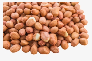 Peanuts - Peanut