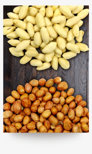04blanched-peanuts - Almond