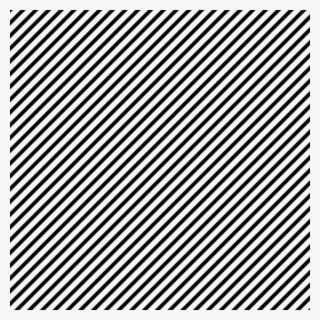 Iqm 31 May 2015 - Monochrome