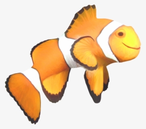 Clown Fish Png - Fish