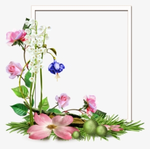 Pin By Slgudiel On Wallpapers And More - Delphinium