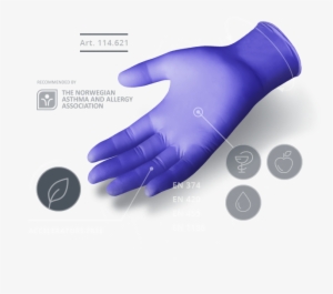 Harmony Between Gloves And Hands - Glove